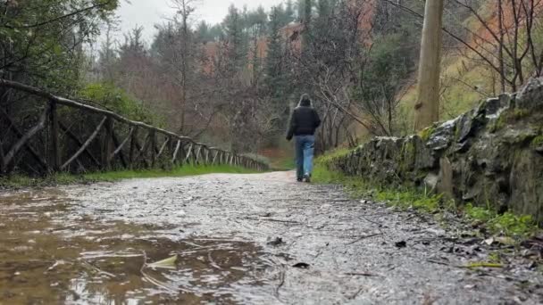 Yağmur Altında Ormanda Yürüyen Kadın Yağmurlu Kasvetli Gün — Stok video