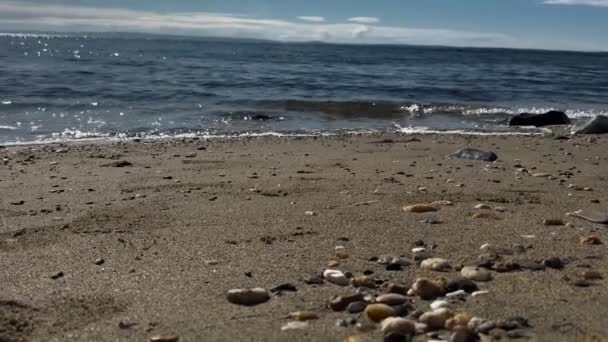 Mężczyzna Samotnie Spacerujący Opuszczonej Plaży Wietrzny Dzień Plaży — Wideo stockowe