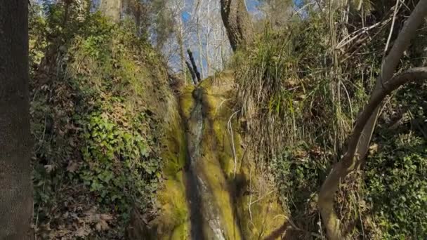 Скрытый Лесной Пруд Вода Стекающая Залитых Лесом Скал Ветреный День — стоковое видео
