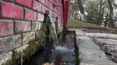  Abandoned Water Spring In The Forest, Cold Water, Trickling 