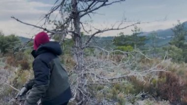 Young Boy Breaks Dead Branches And Gathering Wood Windy Winter Day 