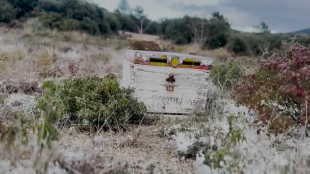 Old Abandoned Beehive Windy Χειμωνιάτικη Μέρα — Αρχείο Βίντεο