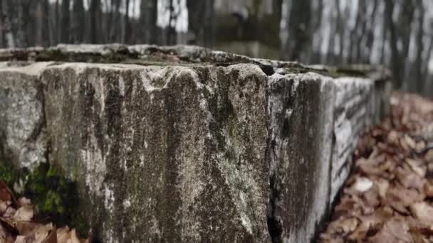 Старый Заброшенный Каменный Источник Лесу Зимний Мрачный День — стоковое видео