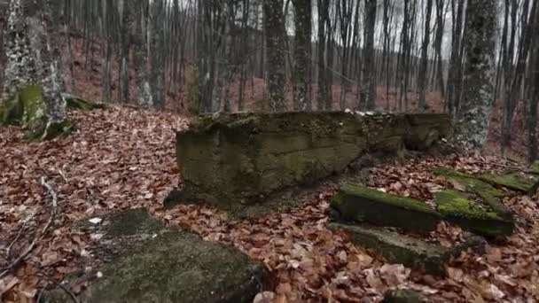 Ruínas Abandonadas Casa Floresta Dia Sombrio Inverno — Vídeo de Stock