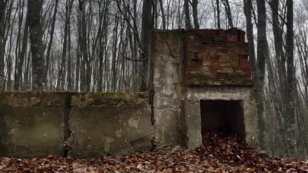 Opuszczone Ruiny Kominka Lesie Ciemny Zimowy Dzień — Wideo stockowe