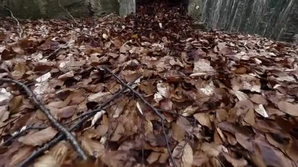 Εγκαταλελειμμένο Τζάκι Καταστρέφει Στο Δάσος Σκοτεινή Χειμωνιάτικη Μέρα — Αρχείο Βίντεο