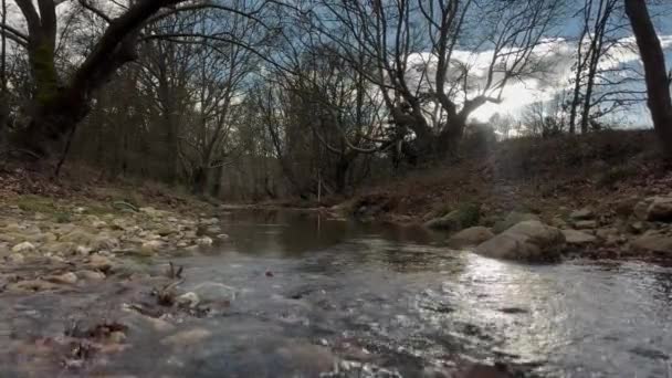 Мирний Розслабляючий Швидкий Потік Води Зимовий Сутінки — стокове відео