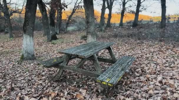 Abandoned Wooden Table Woods — Vídeos de Stock