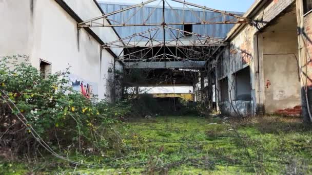 Abandonado Fábrica Recuperado Por Natureza Vídeo — Vídeo de Stock