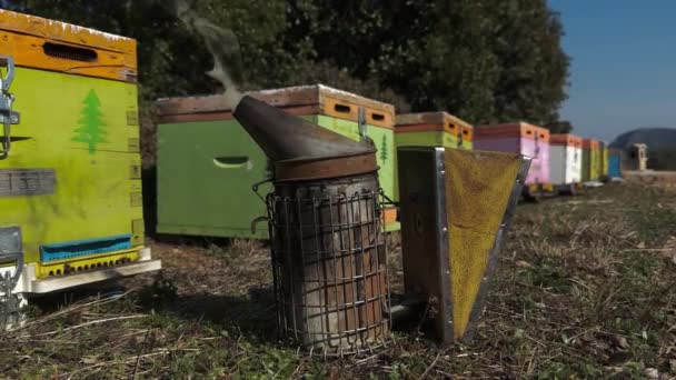 Bee Smoker Abelhas Voando Redor Colmeias Coloridas Ensolarado Inverno Dia — Vídeo de Stock
