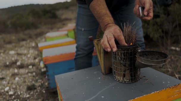 Loading Bee Smoker Pine Needles Beekeeper Working Gloomy Winter Day — Stock Video
