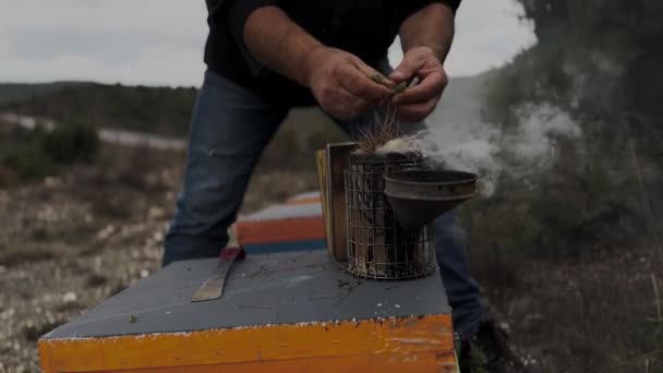 Ładowanie Bee Smoker Igłami Sosny Praca Pszczelarza Ponury Dzień Zimowy — Wideo stockowe