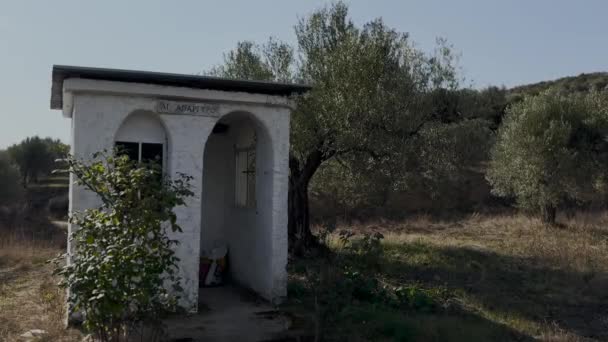 Old Orthodox Chapel Olive Field Windy Day Video — Stock Video