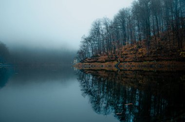 Orman güzel bir yer Morske OKO Slovakya 'nın doğusunda Karanlık Orman