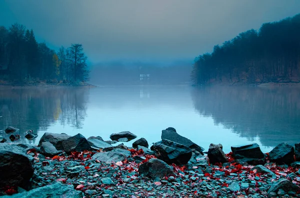 Hermoso Paisaje Con Lago Niebla Oscura Mañana —  Fotos de Stock