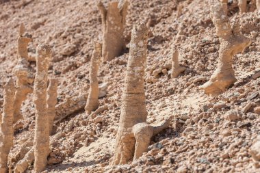 Çöldeki ölü denizin kumları