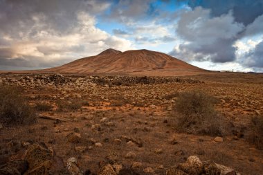 İsrail 'in kuzeyindeki Negev Çölü' nün güzel manzarası