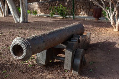 Parktaki eski ahşap boru