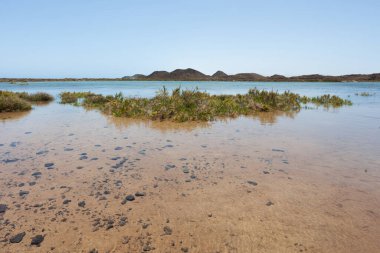 Deniz kıyısının güzel manzarası