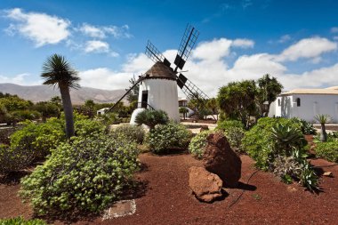 İsrail 'in kuzeyindeki Akdeniz adasının güzel manzarası.