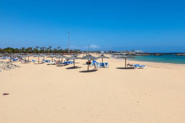 Palmiye ağaçları ve mavi gökyüzü olan kumsal