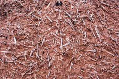 saman ve çamur dokusu arkaplanı