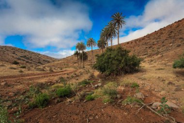 Dağları ve mavi gökyüzü olan güzel bir manzara.