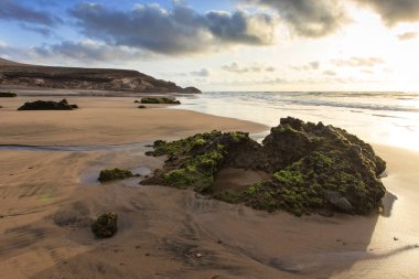 Deniz kıyısının güzel manzarası