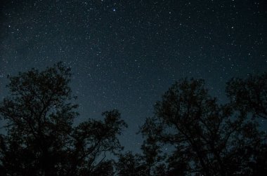 Samanyolu galaksisi, yıldızlar ve gökyüzü