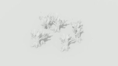 Minimal vector animation of a bare tree trunk on white background, symbolizing nature, seasons, and abstract design