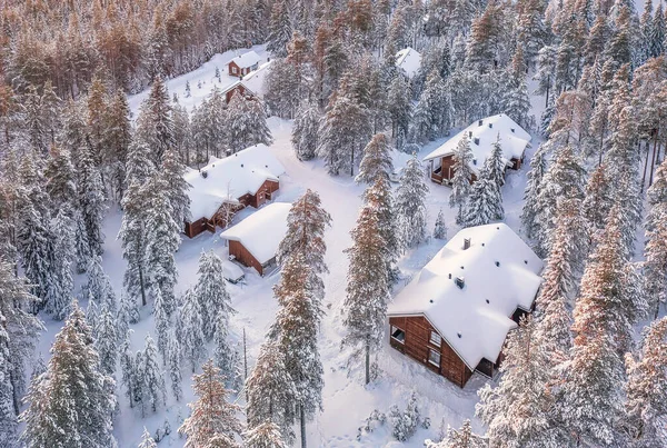 Повітряний Вид Будинки Лісі Фінській Лапландії Поблизу Рованіємі Типовий Зимовий — стокове фото