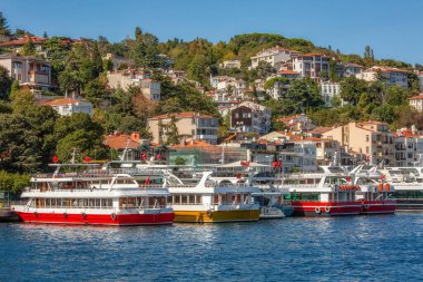 View to the shore of Bosforus strait on an early autumn day. Residential buildings and ships along the shore.