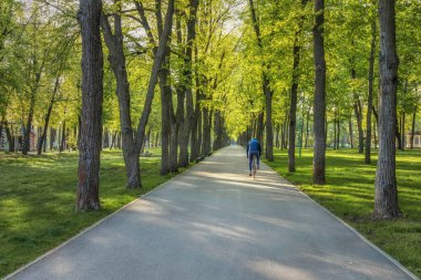 Parktaki yeşil sokak. Kharkiv, Ukrayna, Central City Park