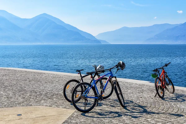 Tree Bicycles Lago Maggiore Promenade Askona Switzerland View Lake Surrounded — стоковое фото