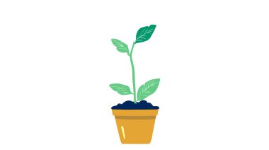 Esrardaki bitki izole edilmiş ikon vektör çizimi desing