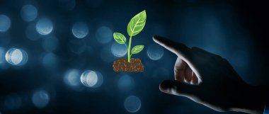 Topraktan ağaç yetişiyor. karışık ortam.