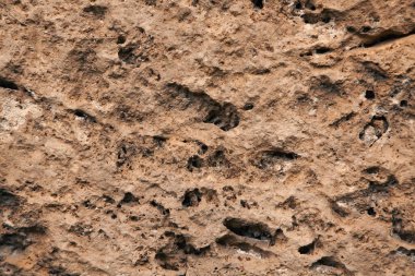 kahverengi mermer desen arkaplan taşı