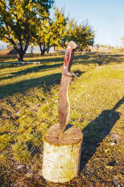 Ağaçta büyük bir bıçak..