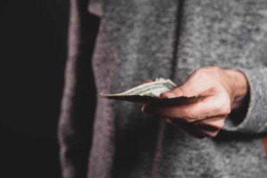 Dolarları elinde tutan adam. Elinde para, iş konsepti