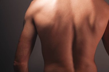 Erkek gövdesi arka görünümü ..