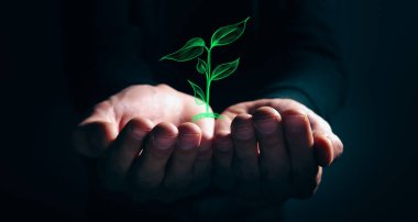 Çevre koruma ve ekoloji kavramı.