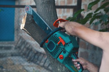 Elektrikli testereyle ağaç kesen adam..