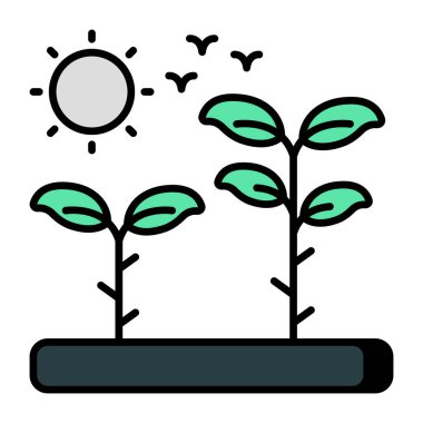 Vector design of growing plant