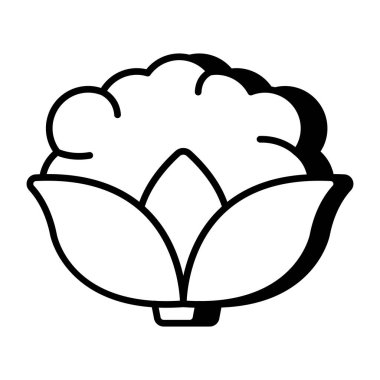 Kaliteli karnabahar indirme simgesi 