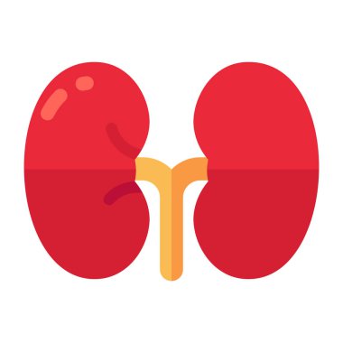 Premium download icon of kidneys clipart