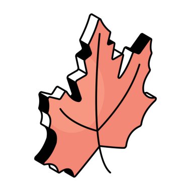 Editable design icon of maple leaf 