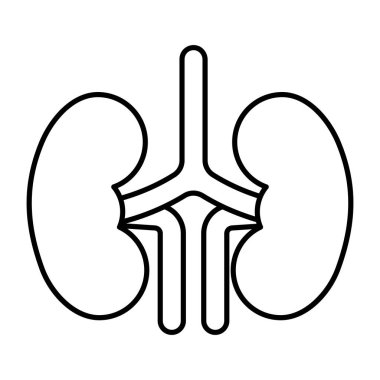 Böbreğin eşsiz tasarım simgesi