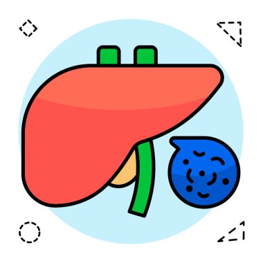 Karaciğerin mükemmel tasarım simgesi