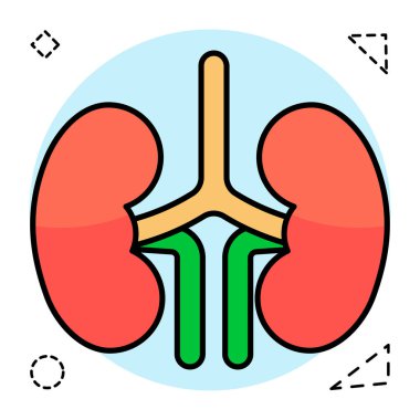 Böbreğin eşsiz tasarım simgesi