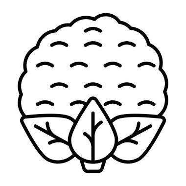 Kaliteli karnabahar indirme simgesi